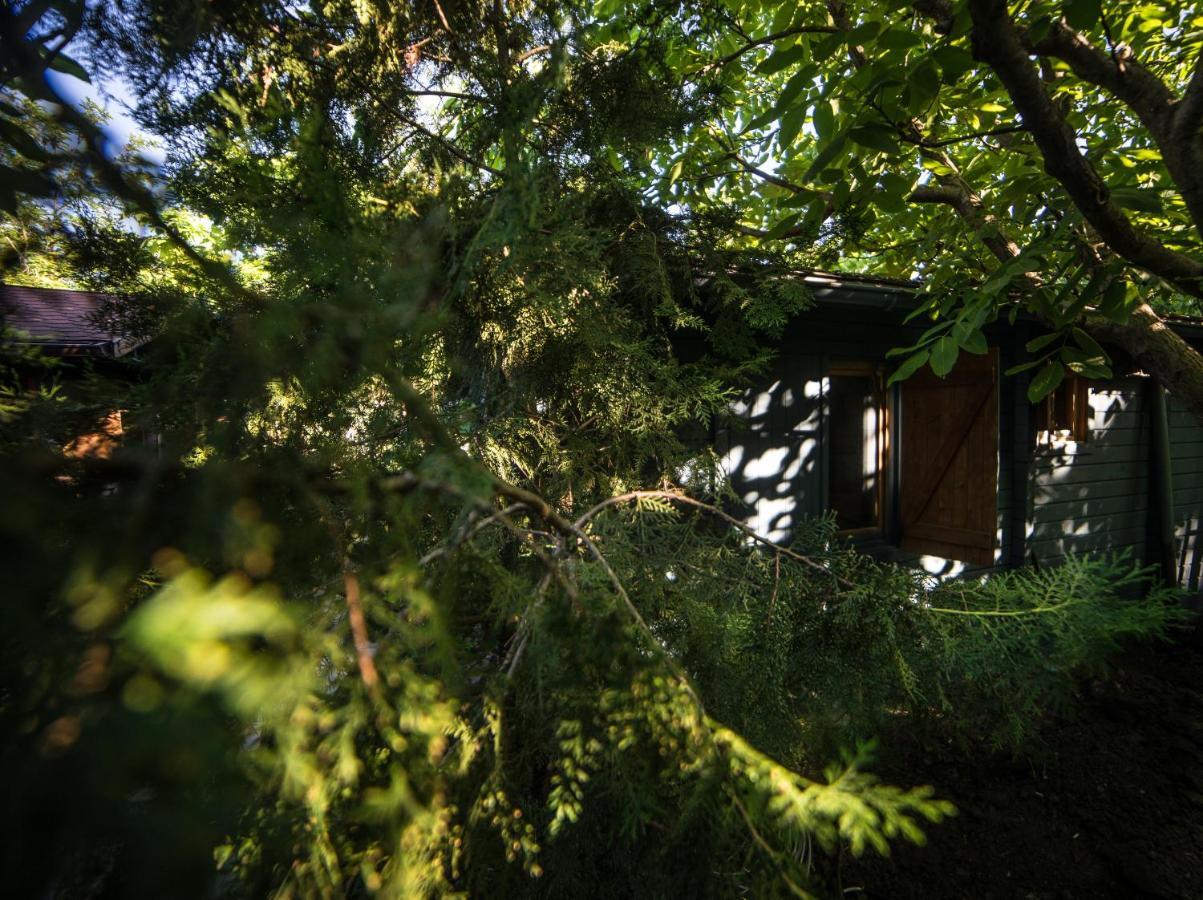 Enpi Lake Resort Iasi Eksteriør billede